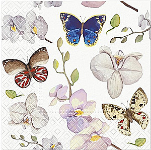 Salvetes 33x33 cm Orchidea Butterfly, 20 gab.