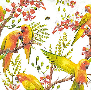 Salvetes 33x33 cm Exotic birds, 20 gab.