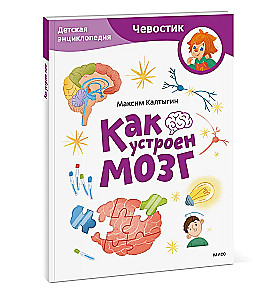 Как устроен мозг. Детская энциклопедия (Чевостик)