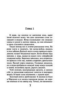 Закон Благодарности. Маг