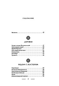 Благословение Махариши. Удивительная история моей жизни