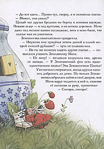 Земляничная фея. Волшебная книга каникул