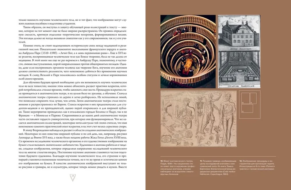 Gabinet rzadkości - anatomicznych, medycznych i przerażających