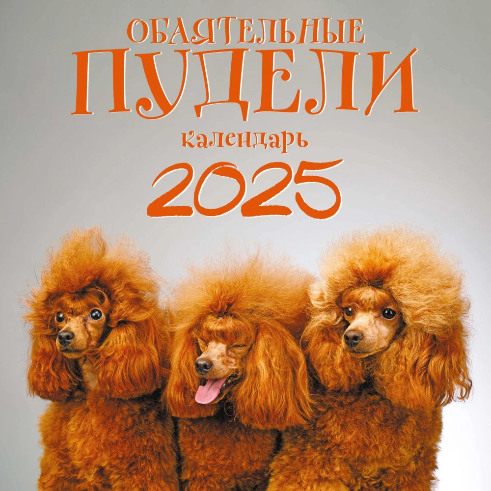 Urokliwe pudle. Kalendarz ścienny na 2025 rok (300x300)