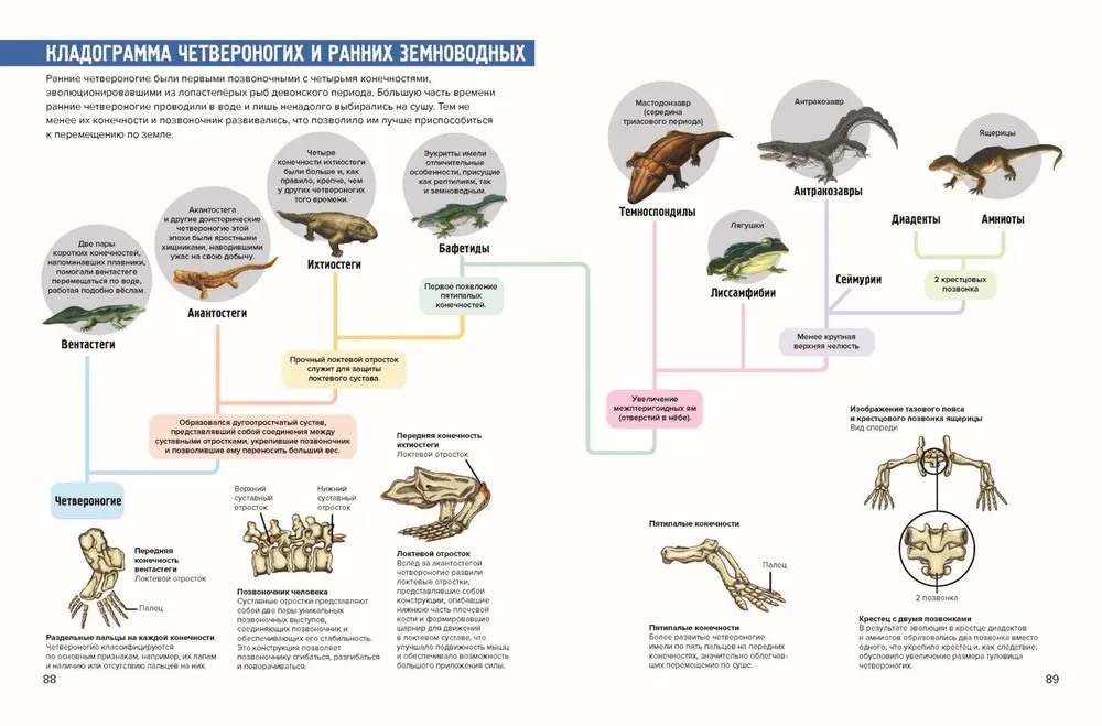 Prehistoryczni pionierzy. Giganci karbonu i permu. Część 3