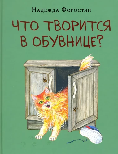 Что творится в обувнице?