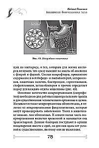 Квантовая биомеханика тела. Методика оздоровления опорно-двигательного аппарата (Часть 3)