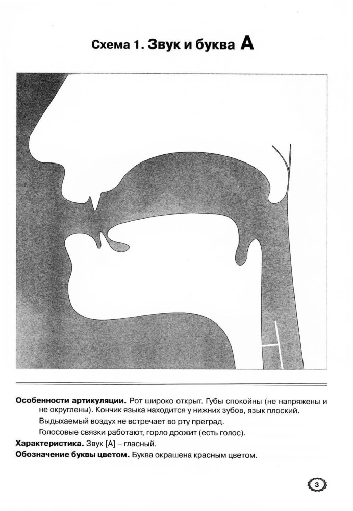 Artykulacja dźwięków w graficznym przedstawieniu