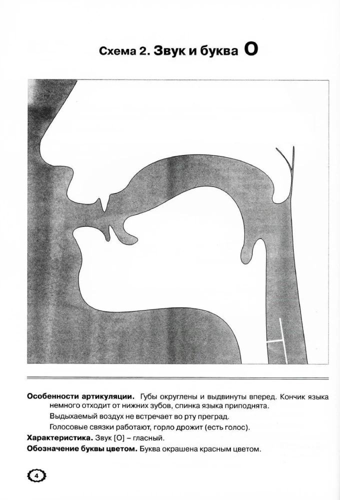 Artykulacja dźwięków w graficznym przedstawieniu