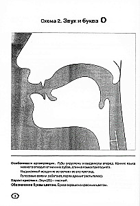 Artykulacja dźwięków w graficznym przedstawieniu