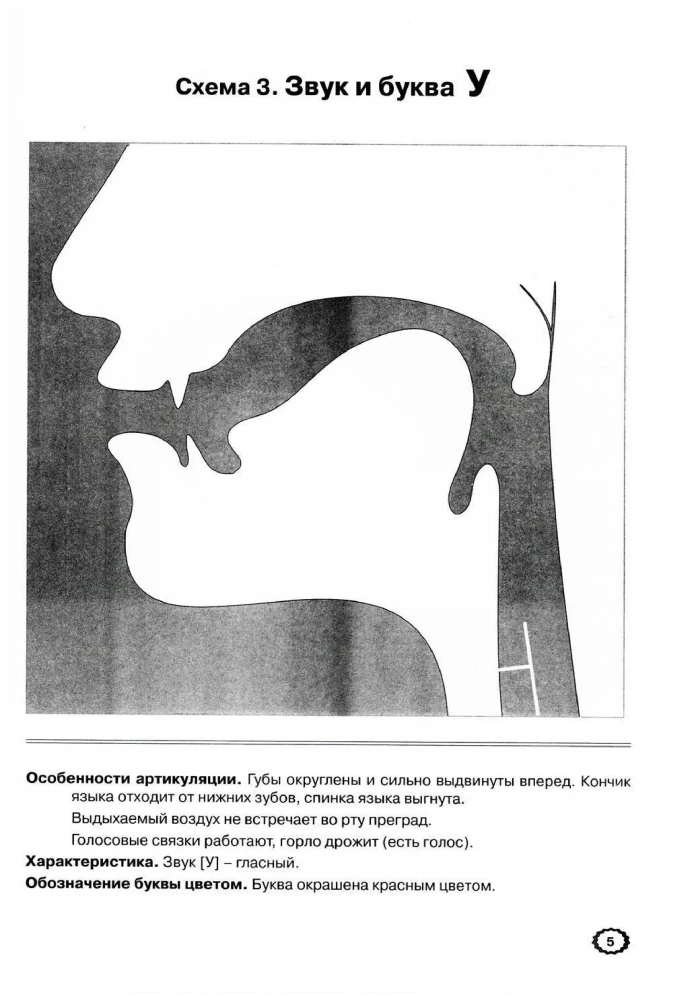 Артикуляция звуков в графическом изображении