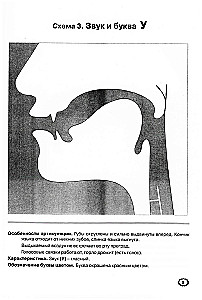 Artykulacja dźwięków w graficznym przedstawieniu