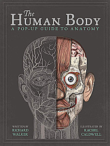 The Human Body