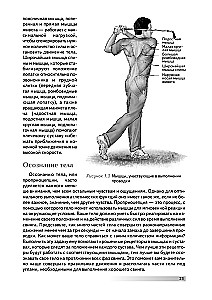 Anatomia golfa