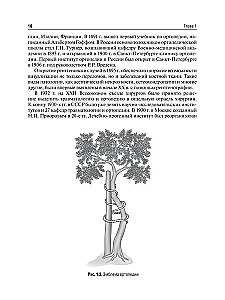 Traumatologia i ortopedia