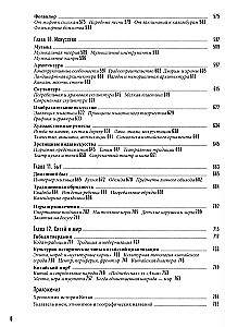 Китайский мир. Корни и крона