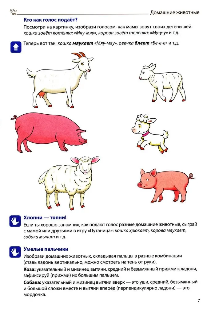 Tworzenie słownictwa (Tom 3). Zwierzęta domowe, dzikie oraz ptaki, ryby, owady