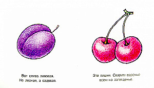 Moje pierwsze słowa. Owoce