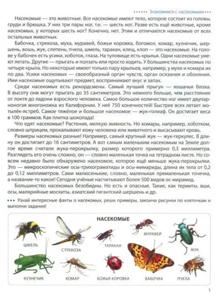 Kroczymy po kratkach. Insektów. Graficzne dyktanda dla dzieci 6-7 lat