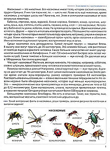 Kroczymy po kratkach. Insektów. Graficzne dyktanda dla dzieci 6-7 lat