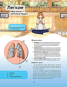 Atlas anatomii w stylu manga