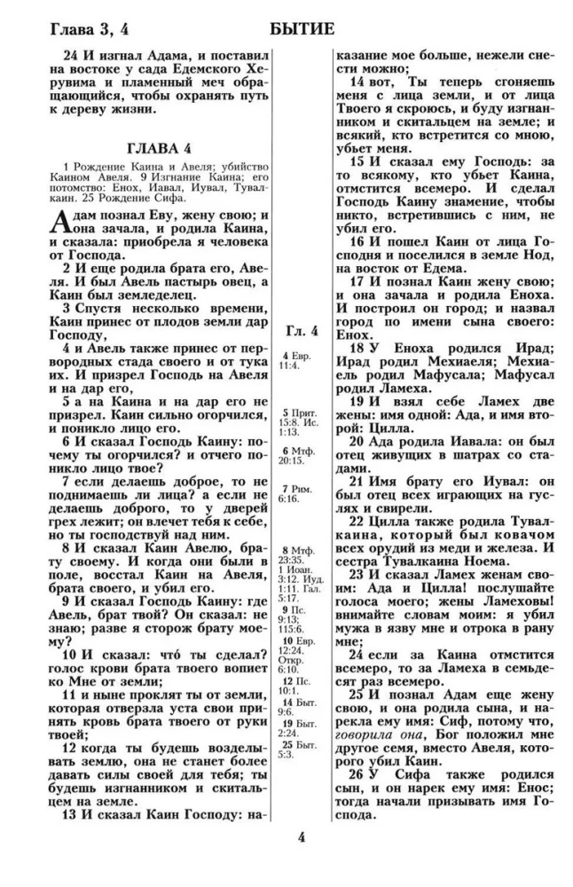 Biblia. Przekład synodalny z 1876 roku