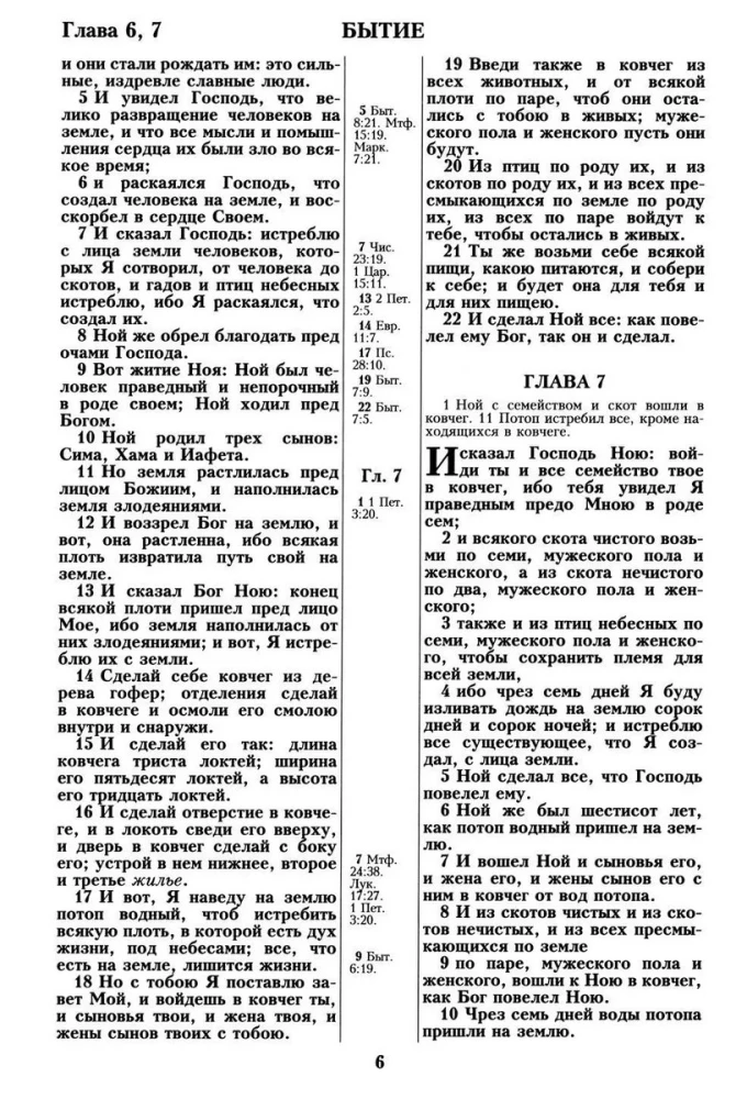 Biblia. Przekład synodalny z 1876 roku