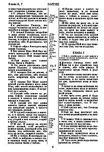 Biblia. Przekład synodalny z 1876 roku