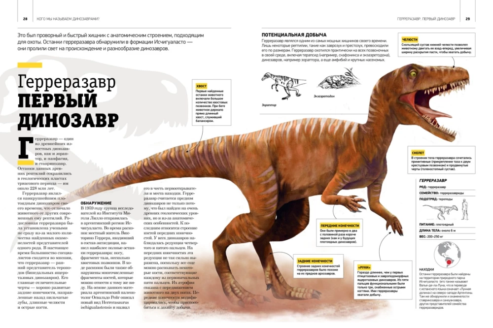 Gigantyczna encyklopedia dinozaurów