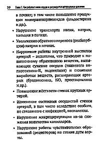 Повышенное давление, свет красный. Ответы на вопросы, которые вы хотели бы задать врачу