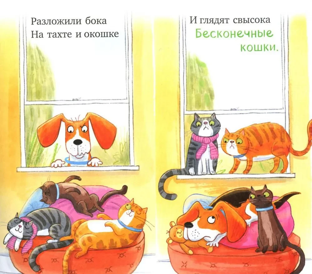 Слишком много котов