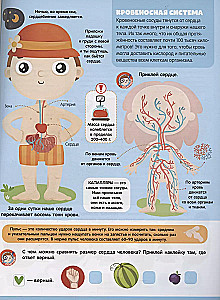 Graj i przyklejaj. Anatomia