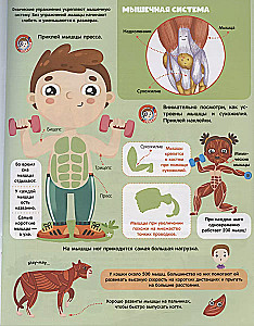 Graj i przyklejaj. Anatomia