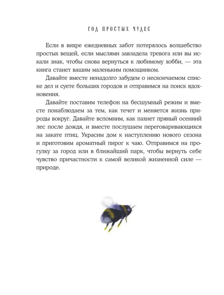 Год простых чудес. Найти опору и вдохновение в красоте повседневности