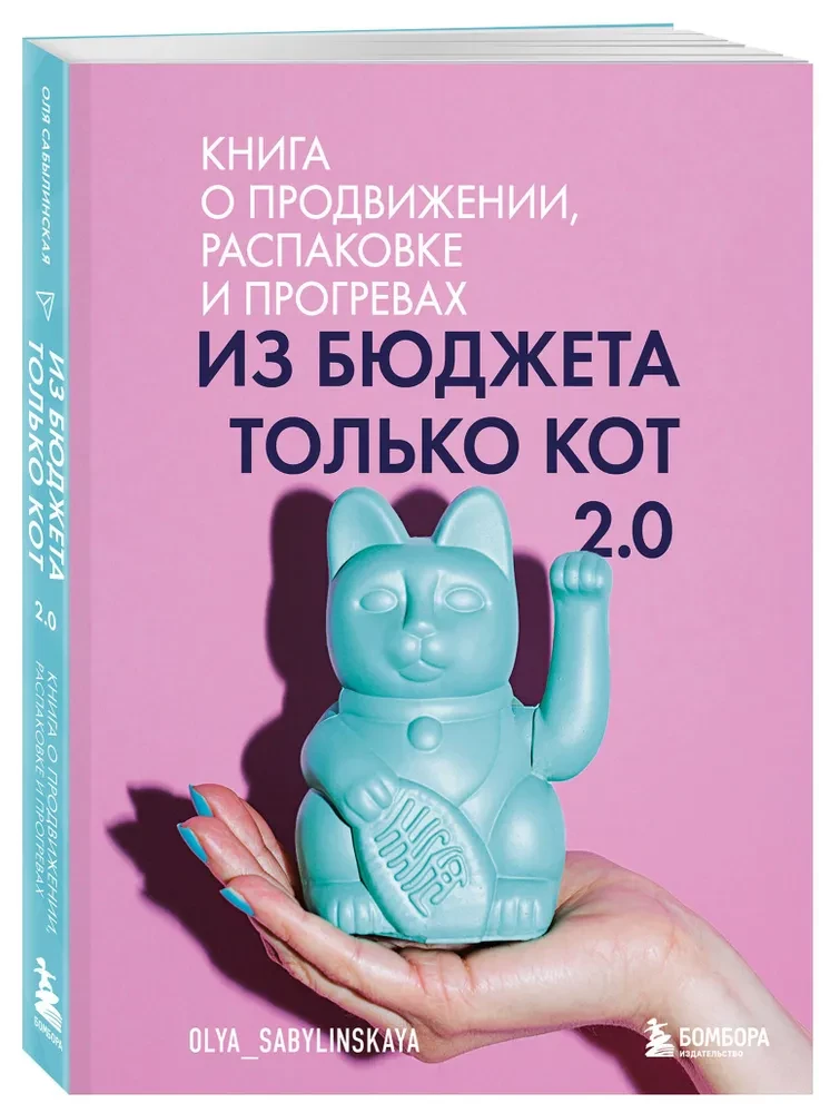 Из бюджета только кот 2.0