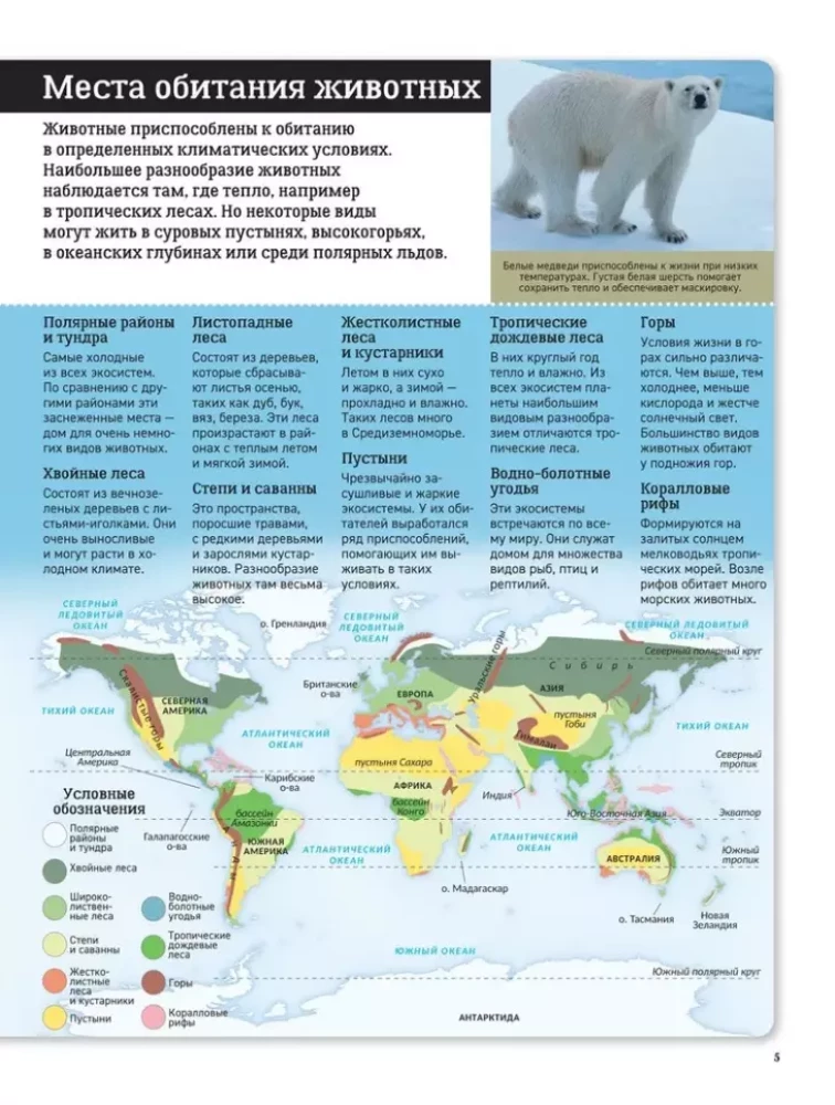 Atlas dziecięcy. Zwierzęta świata