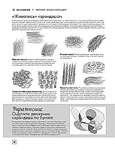 Anatomia dla artystów. Ponad 50 projektów. Pełna encyklopedia