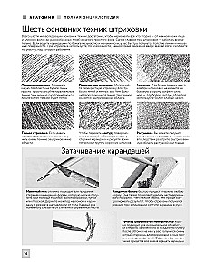 Anatomia dla artystów. Ponad 50 projektów. Pełna encyklopedia