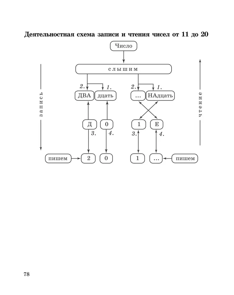 Kształtowanie umiejętności matematycznych. Klasa 1-2. Trener dla szkoły podstawowej