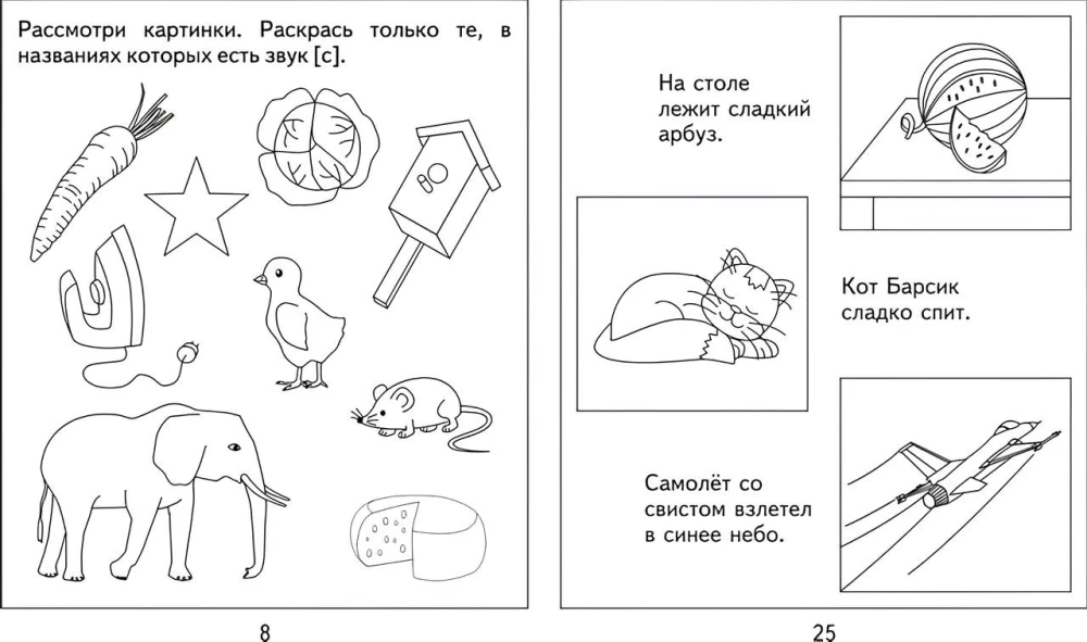 Логопедическая тетрадь на звуки С, С