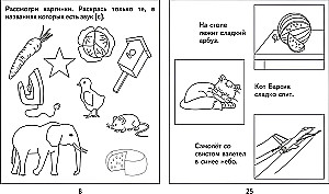 Логопедическая тетрадь на звуки С, С