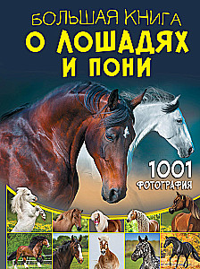 Большая книга о лошадях и пони. 1001 фотография