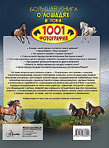 Большая книга о лошадях и пони. 1001 фотография