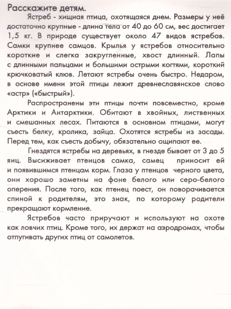 Дидактические карточки - Птицы наших лесов в пакете