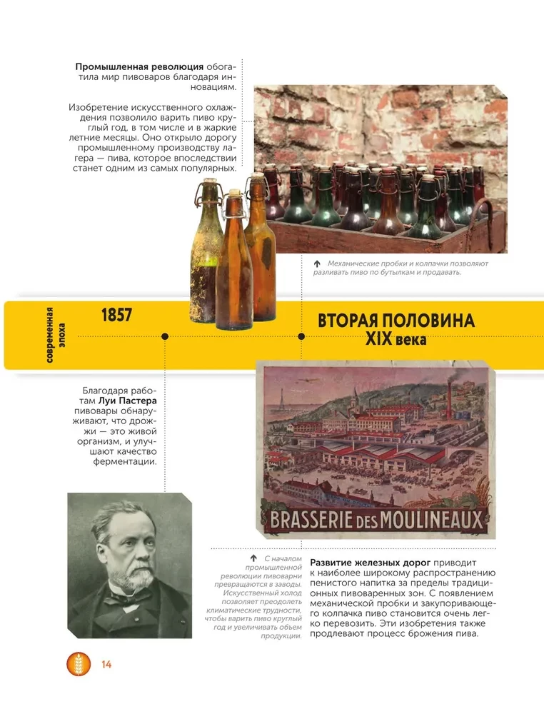 Piwo. Historia, rodzaje, produkcja, degustacja, tradycje