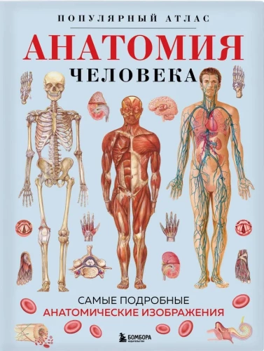 Anatomia człowieka. Popularny atlas. Najbardziej szczegółowe obrazy anatomiczne