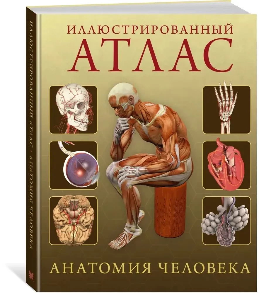 Ilustrowany atlas. Anatomia człowieka