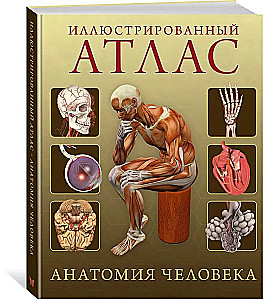 Ilustrowany atlas. Anatomia człowieka