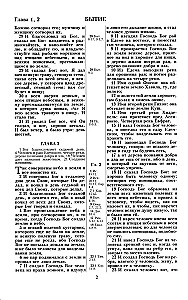 Biblia kanoniczna w skórzanym oprawie na zamek błyskawiczny