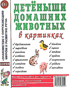 Детеныши домашних животных в картинках. Наглядное пособие для педагогов, логопедов, воспитателей и родителей